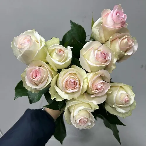 장미 라가자