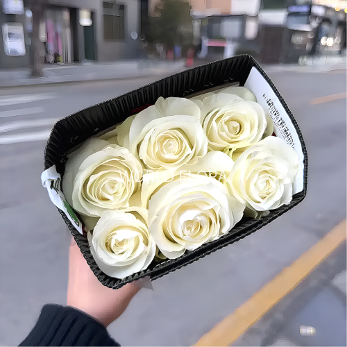 에콰도르 장미